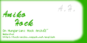 aniko hock business card